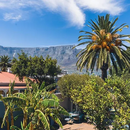 Villa Viva Cape Town-3